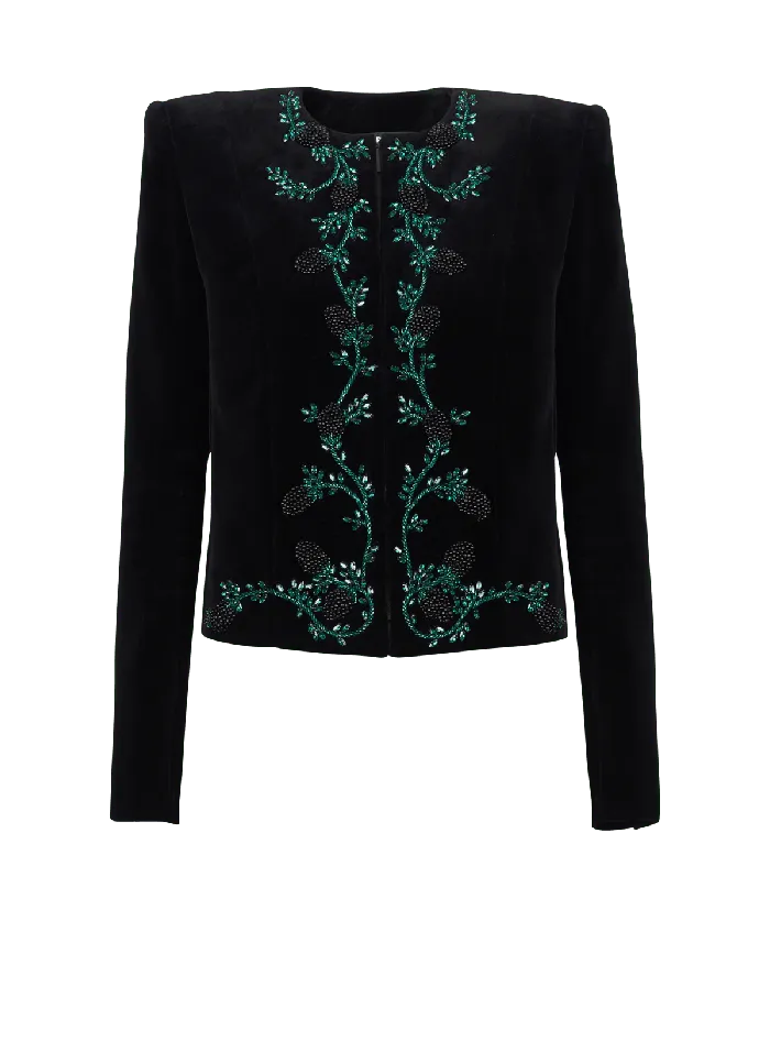 Balmain Jackets And Blazers Women Blackberry Embroidered Velvet Jacket Black