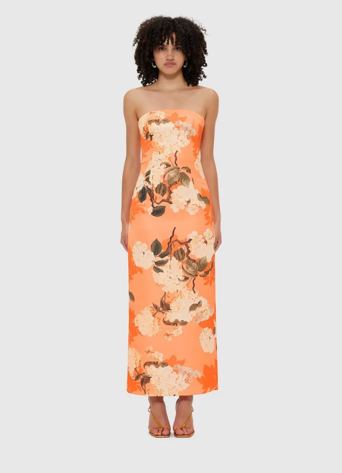 Dresses and Jumpsuits Women LEO LIN Rayna Bustier Maxi Dress 8211 Hydrangea Print In Tangerine