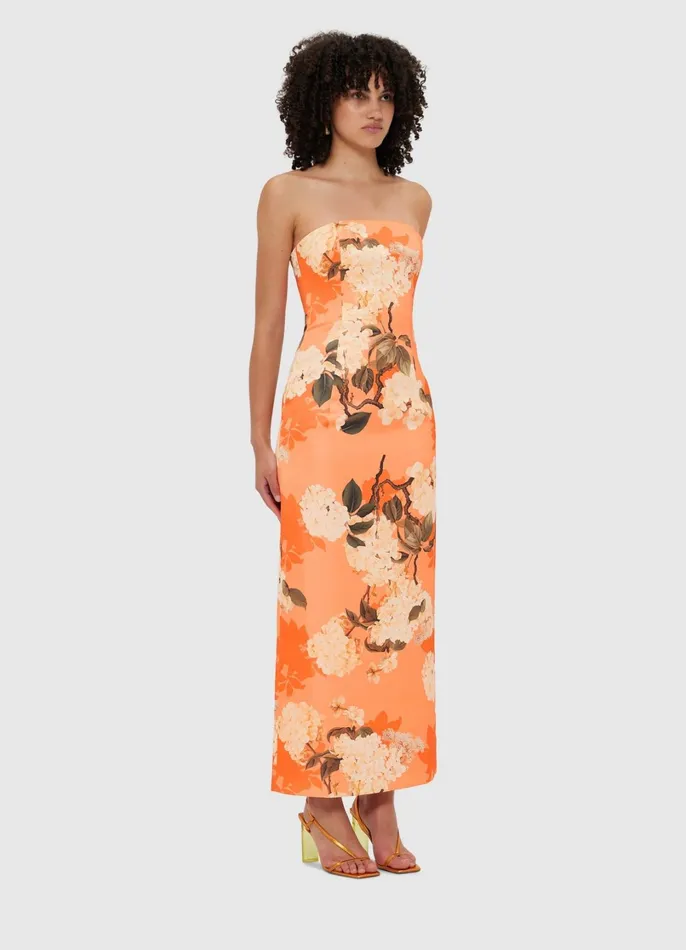 Dresses and Jumpsuits Women LEO LIN Rayna Bustier Maxi Dress 8211 Hydrangea Print In Tangerine