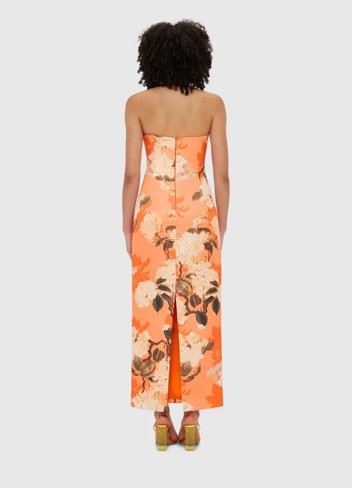 Dresses and Jumpsuits Women LEO LIN Rayna Bustier Maxi Dress 8211 Hydrangea Print In Tangerine
