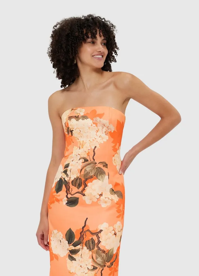 Dresses and Jumpsuits Women LEO LIN Rayna Bustier Maxi Dress 8211 Hydrangea Print In Tangerine