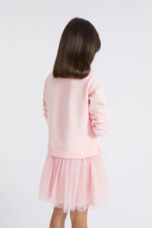 Dresses Girl Seed Heritage Core Tutu Logo Dress Dusty Rose
