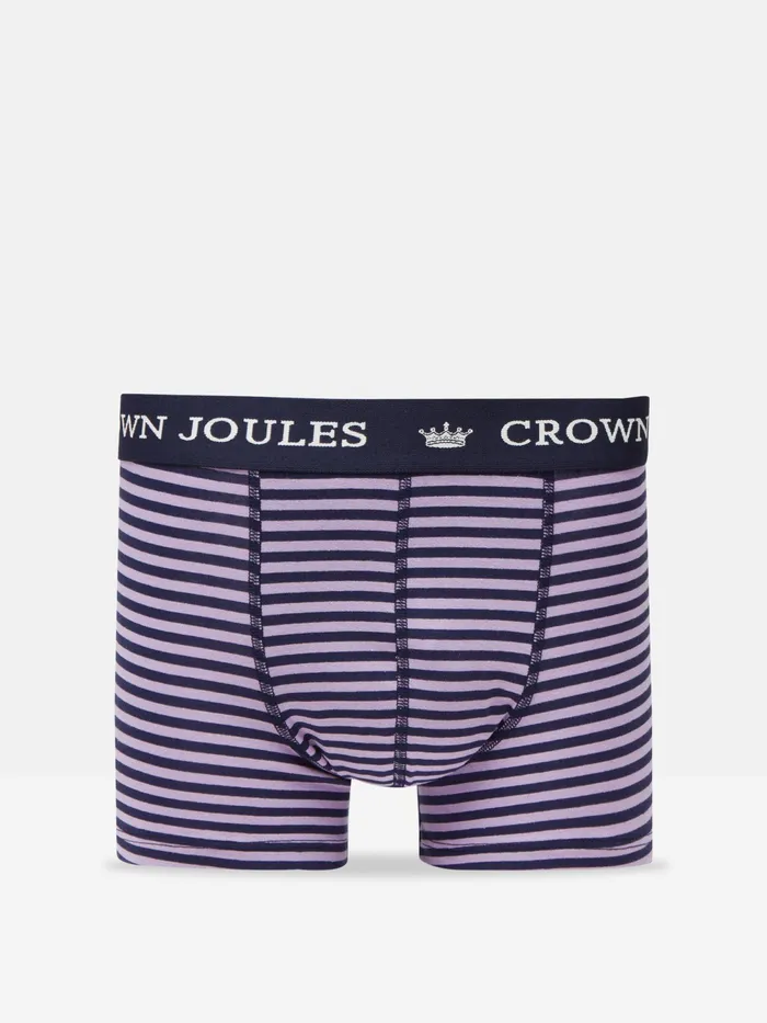 Joules Underwear BluePurple Cotton Boxer Briefs 2 Pack 8211 Men