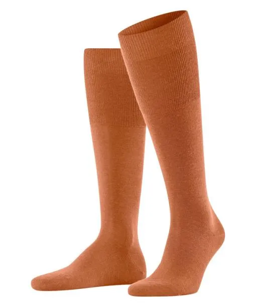 Men Airport Men Kneehigh Socks Tandoori FALKE Knee High Socks