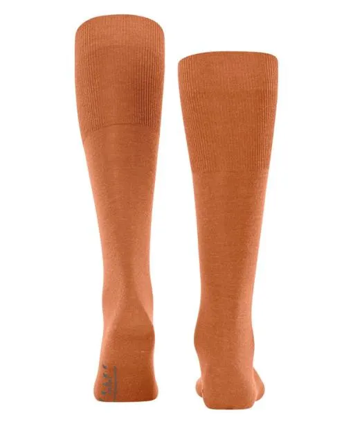 Men Airport Men Kneehigh Socks Tandoori FALKE Knee High Socks