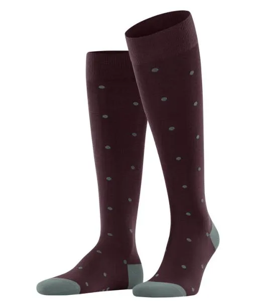 Men Dot Men Kneehigh Socks Barolo FALKE Knee High Socks