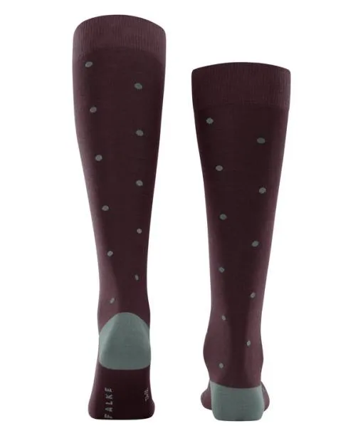 Men Dot Men Kneehigh Socks Barolo FALKE Knee High Socks