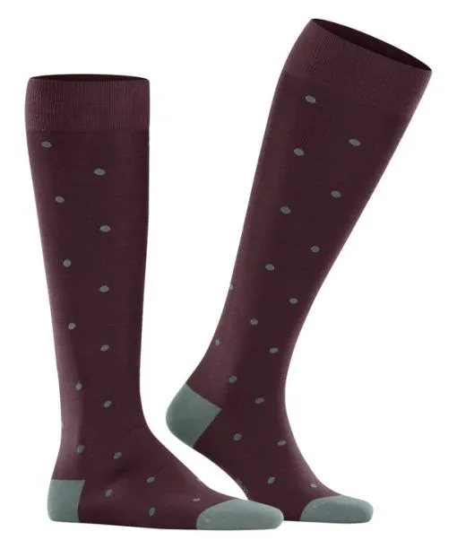 Men Dot Men Kneehigh Socks Barolo FALKE Knee High Socks