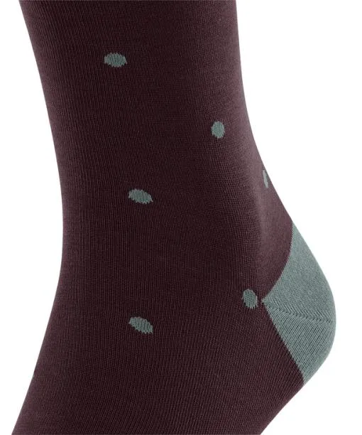 Men Dot Men Kneehigh Socks Barolo FALKE Knee High Socks