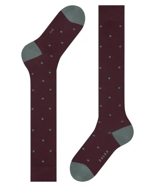 Men Dot Men Kneehigh Socks Barolo FALKE Knee High Socks