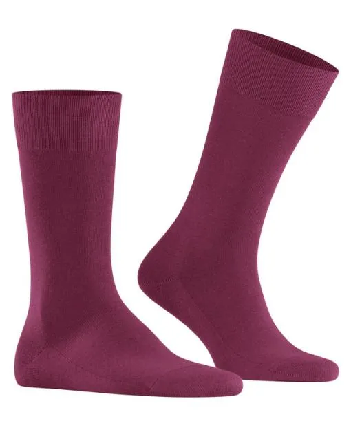 Men Family Men Socks Red Plum FALKE Socks