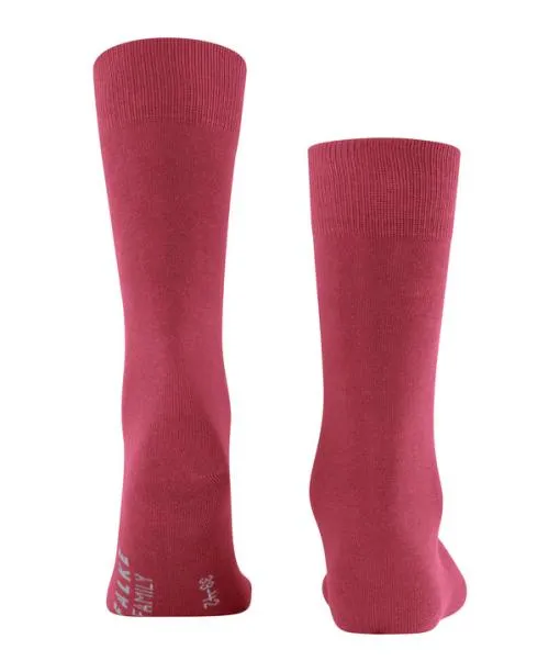 Men Family Men Socks Redwine FALKE Socks