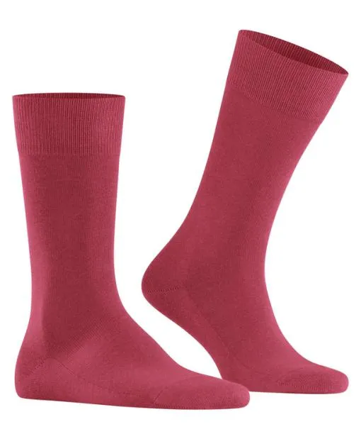 Men Family Men Socks Redwine FALKE Socks