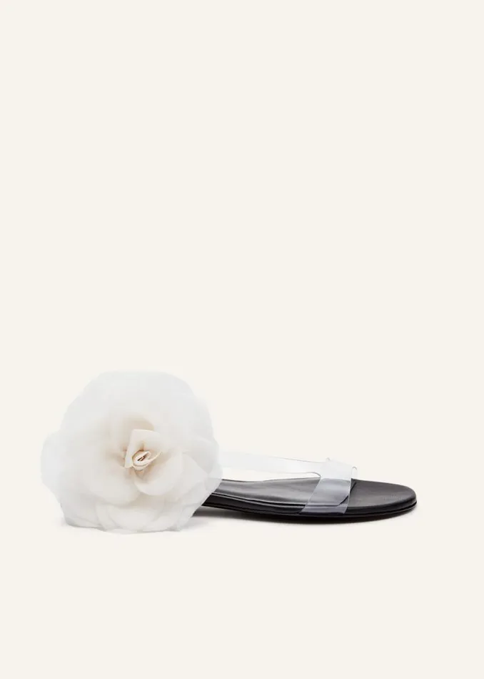 Shop Magda Butrym Shoes Rose PVC Flat Sandals In Black Cream