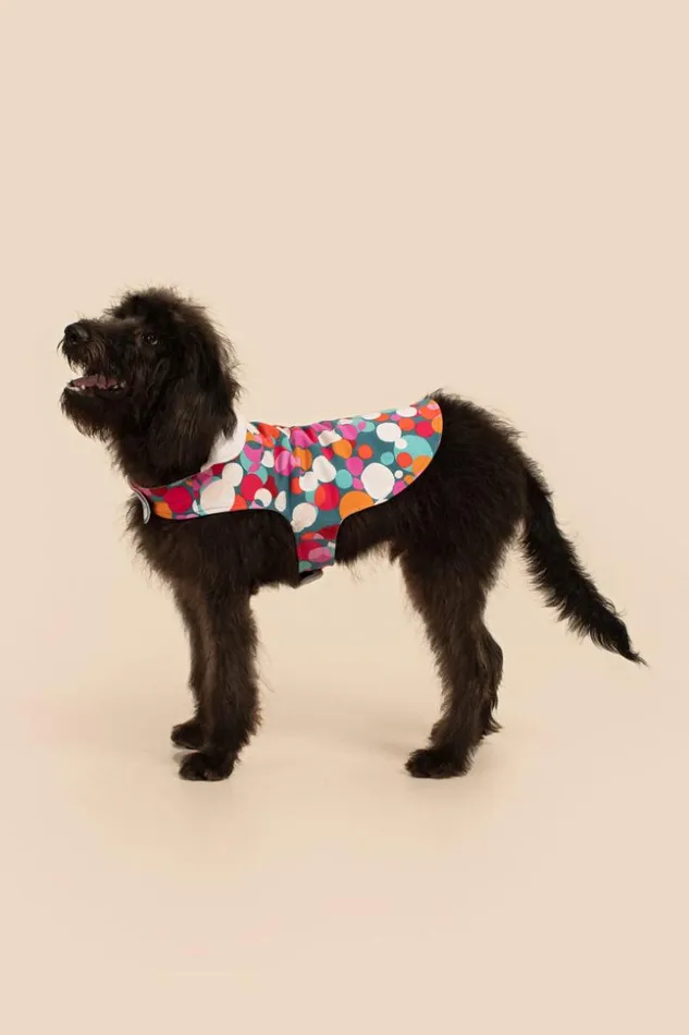 SHOP Trina Turk PETS BUBBLE DOTS FRENCH TERRY PET PAJAMA JACKET