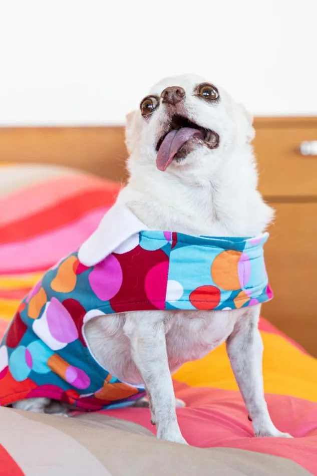 SHOP Trina Turk PETS BUBBLE DOTS FRENCH TERRY PET PAJAMA JACKET