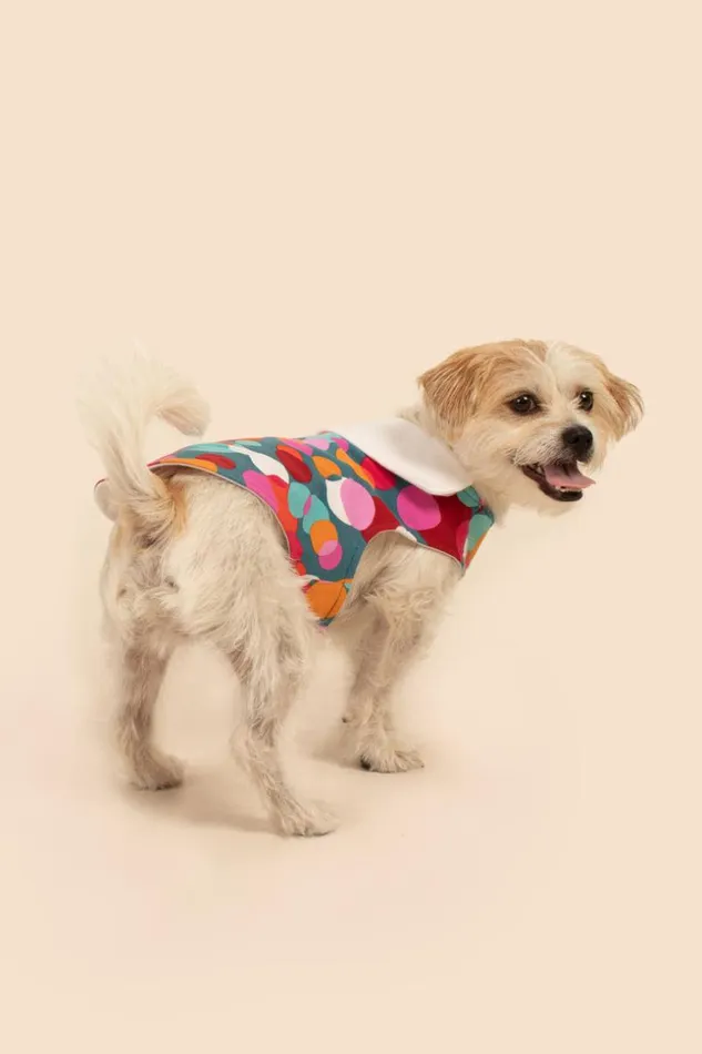 SHOP Trina Turk PETS BUBBLE DOTS FRENCH TERRY PET PAJAMA JACKET