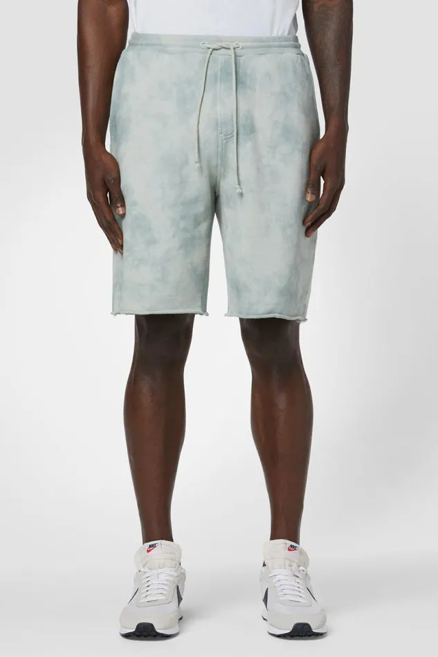 Shorts Men Hudson Jeans Darted Short Sage Dust