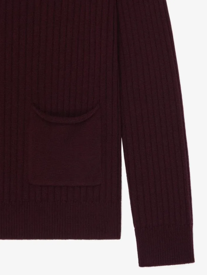 Sweater In Cashmere Plum Men Givenchy Sweaters