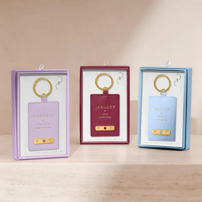 Women Birthstone Collection Katie Loxton January Birthstone Keyring In Deep Red