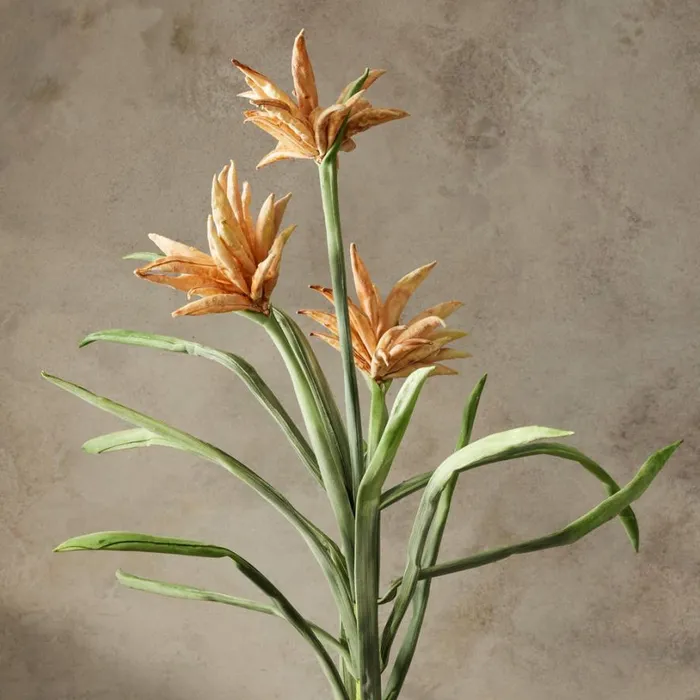 Women Bountiful Botanicals Ginger Sundance Catalog Decor