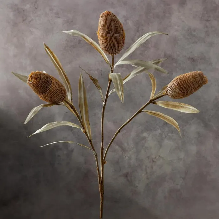 Women Bountiful Botanicals Ginger Sundance Catalog Decor