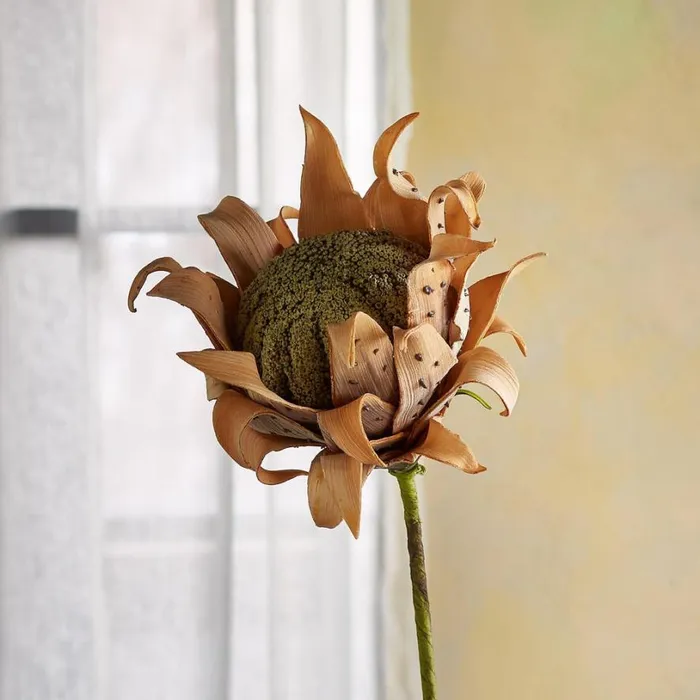 Women Bountiful Botanicals Ginger Sundance Catalog Decor