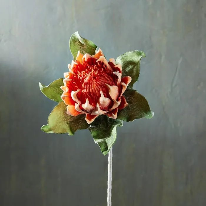 Women Bountiful Botanicals Ginger Sundance Catalog Decor