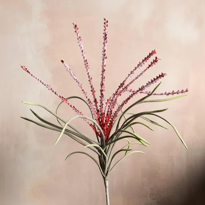 Women Bountiful Botanicals Ginger Sundance Catalog Decor