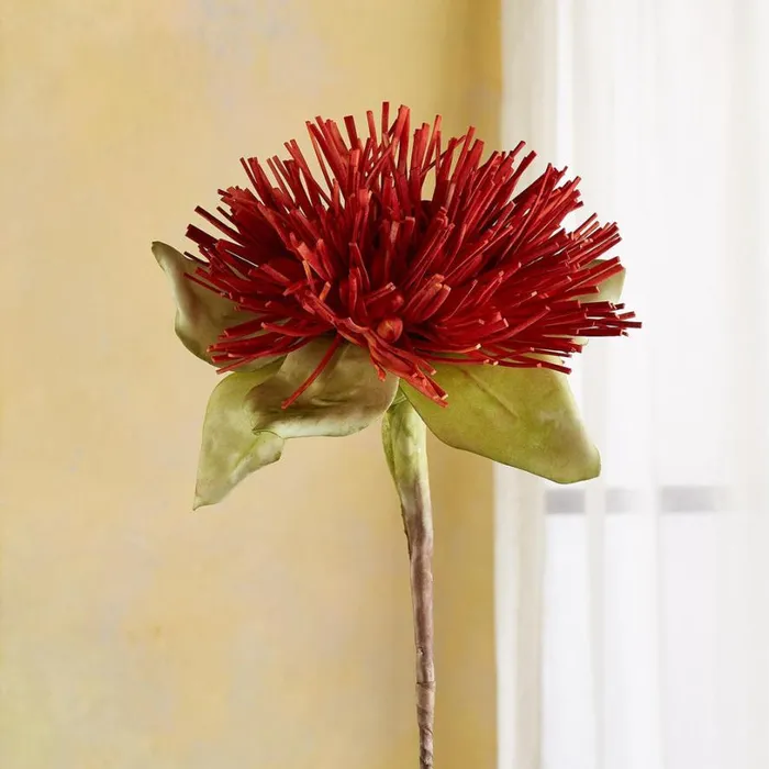 Women Bountiful Botanicals Ginger Sundance Catalog Decor