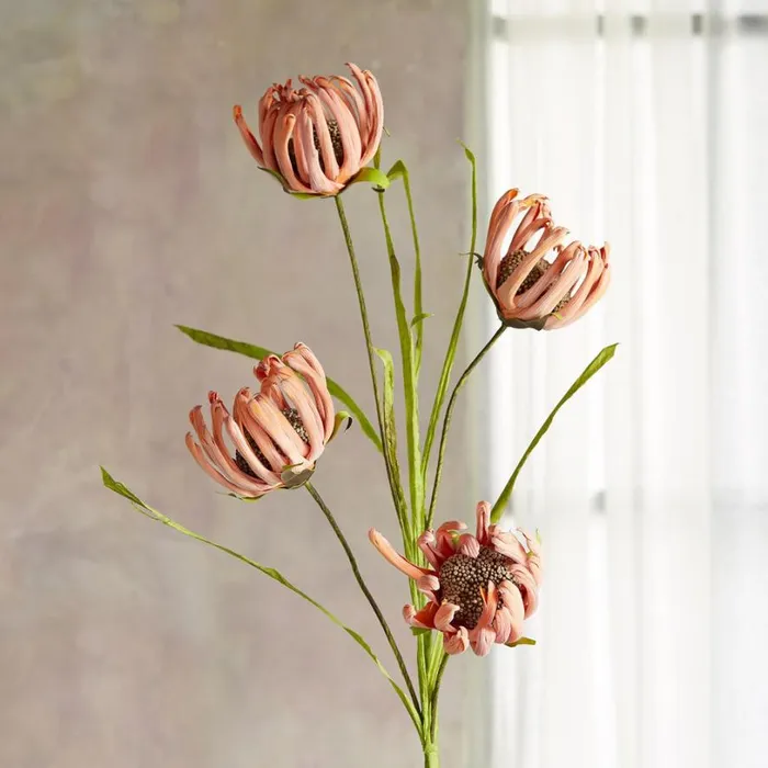 Women Bountiful Botanicals Ginger Sundance Catalog Decor