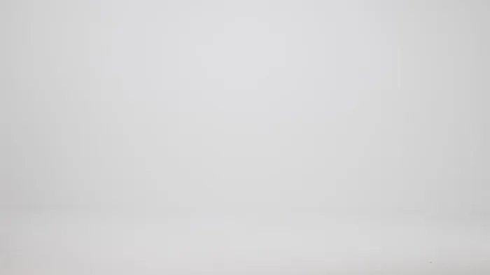 Women Brahmin Satchels Duxbury Satchel Splendor Melbourne