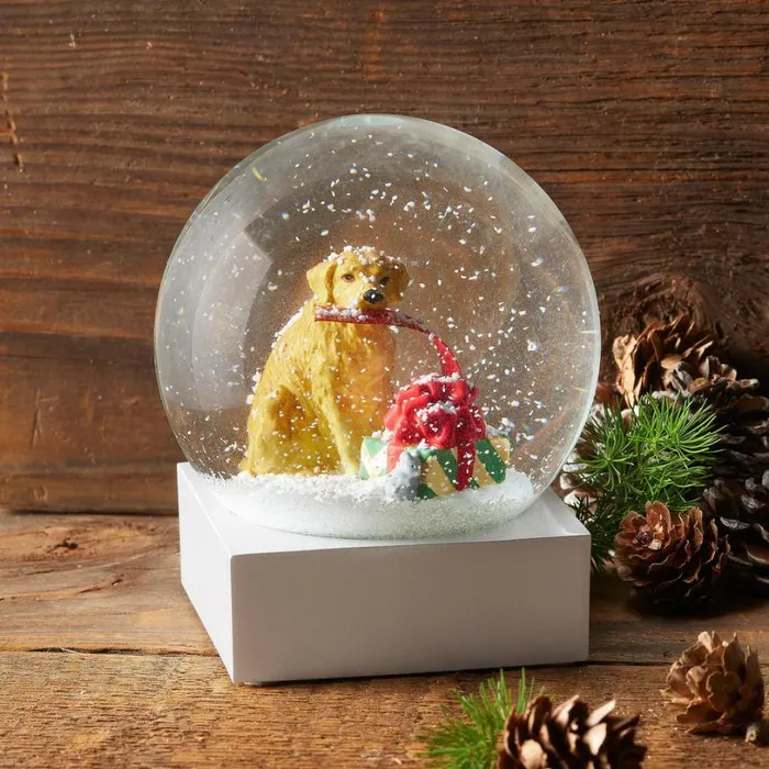 Women Christmas Morning Snow Globe Sundance Catalog Seasonal