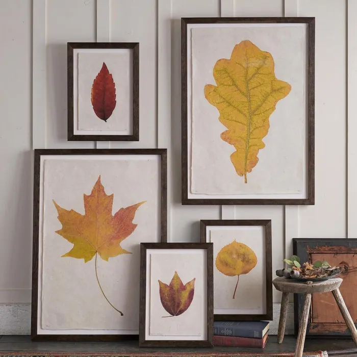 Women Leaf Studies Print Sundance Catalog Decor