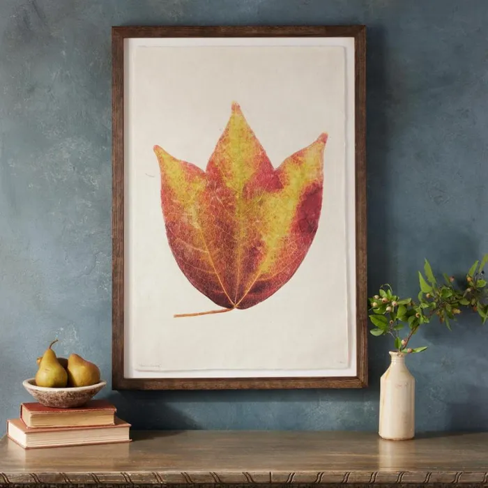 Women Leaf Studies Print Sundance Catalog Decor