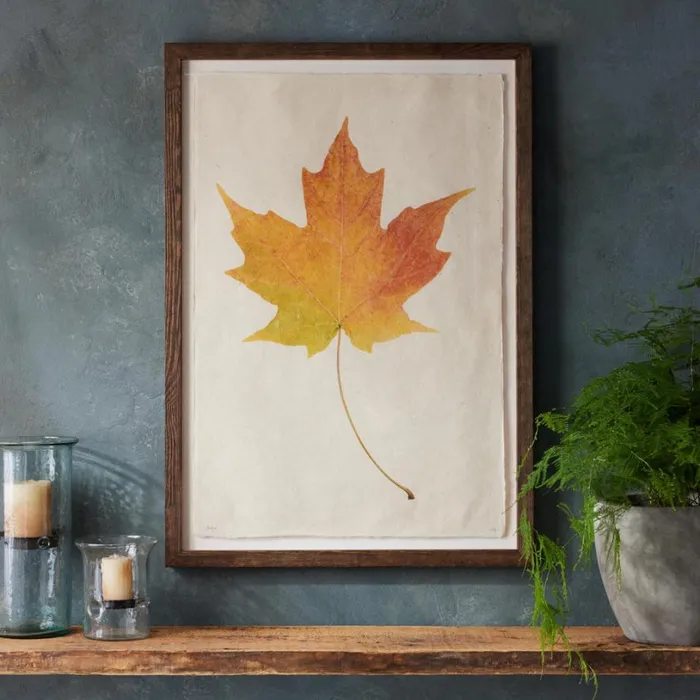 Women Leaf Studies Print Sundance Catalog Decor