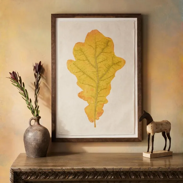 Women Leaf Studies Print Sundance Catalog Decor