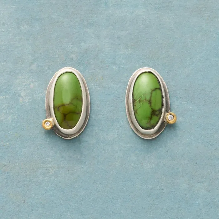 Women Starlit Turquoise Earrings Sundance Catalog Earrings