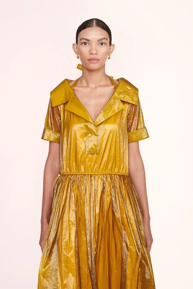 Women STAUD Occasion Dresses LACY DRESS DANDELION